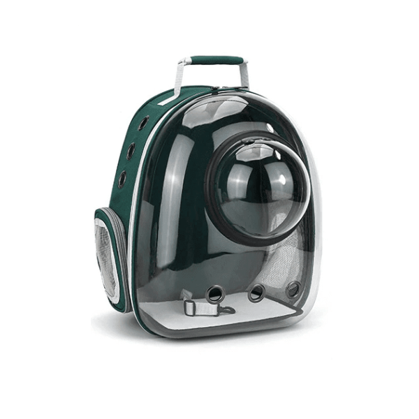 sac a dos pour chat avec hublot